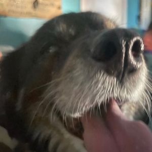 Meet your Posher, Mason grace